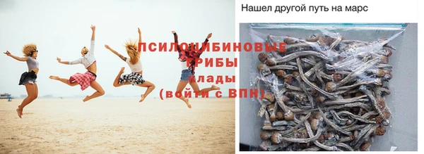 2c-b Абинск