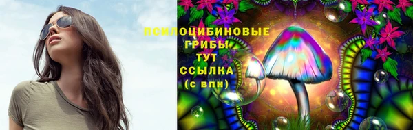 2c-b Абинск