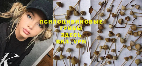 дурь Абдулино