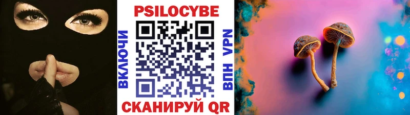 Галлюциногенные грибы Psilocybine cubensis  Усолье 